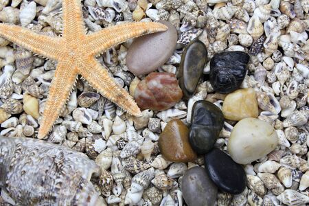 shells and stonesの写真素材