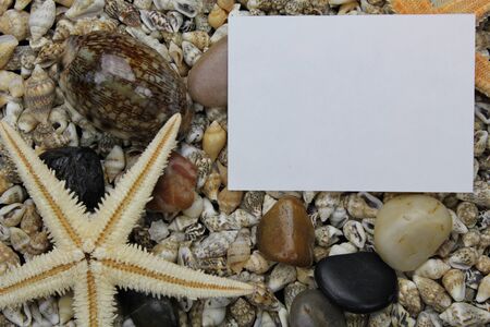 shells and stonesの写真素材