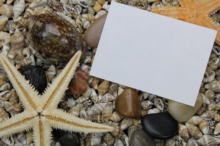 shells and stonesの写真素材