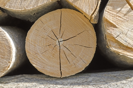 Woodshedの写真素材