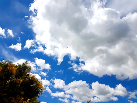 Texture of white clouds and clear sky on a summer day