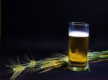 Ears of wheat with glass of frozen beer on a black backgroundの写真素材