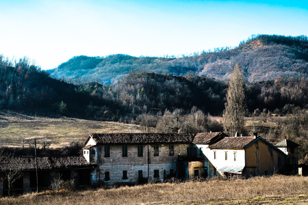 farm surrounded by green countryside on the edge of the forestの写真素材