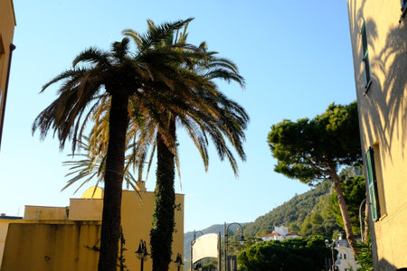 the colors of the Ligurian coast and the Mediterranean spot of varigotti in the province of Savona, Liguriaのeditorial素材
