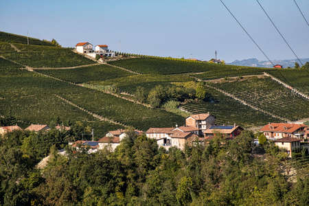 landscapes of the Piedmontese Langhe during the harvest, with the bright colors of autumnの写真素材
