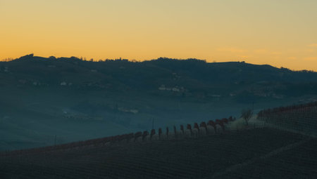 landscapes of the Piedmontese Langhe at dawn on a cold winter day in 2023の写真素材