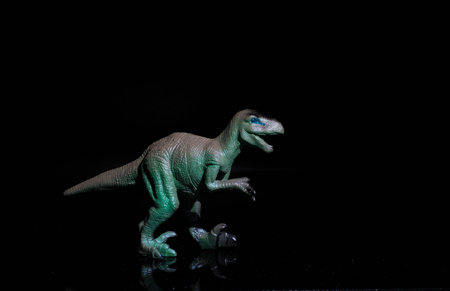 Triceratops dinosaur toy isolated on a black background.