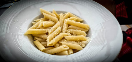 plate of rigatoni pasta with sauce and cheese on an Italian restaurant plate