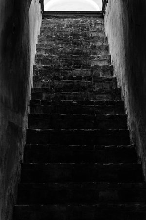 horror crypt stairs for halloween. October 31の写真素材