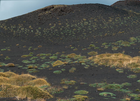 Volcanic landscape in Lanzarote, Canary Islands, Spainの写真素材