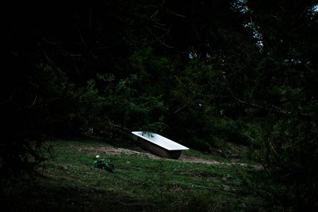 a bathtub immersed in the greenery of an Italian forest, a contrast between man-made and natureの写真素材