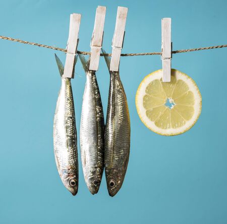 Typical ingredients of Mediterranean fish-based foodの写真素材