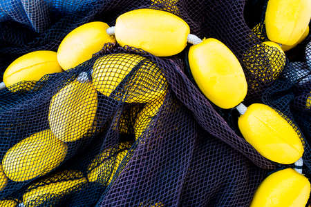 Fishing props with nets and balls