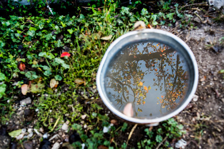 A bucket of water in the garden with fallen leaves on the groundの写真素材