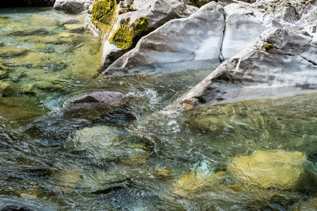 mountain river with clear water and stones in summerの写真素材
