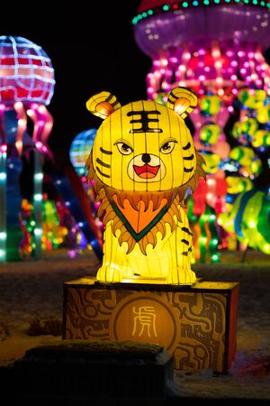 Indianapolis, Indiana, USA - January 07, 2018 - The Chinese Lantern Festival  with different sets of large lantern displays, is a festival of Chinese culture, art and different activities, visiting several cities around the united states around the year, のeditorial素材