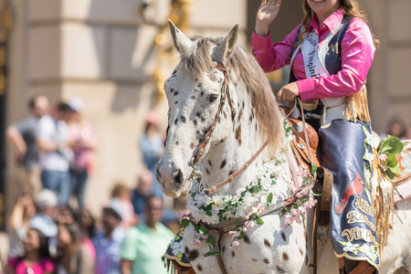 Washington, D.C., USA - April 14, 2018 A woman riding a horse covered in cherry flowers in the 2018 National Cherry Blossom Paradeのeditorial素材
