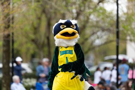 Wilmington, North Carolina, USA - April 6, 2019: The North CarolinaAzalea Festival, Sammy C. Hawk mascot of University of North Carolina Wilmington, at the parade