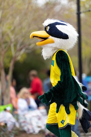 Wilmington, North Carolina, USA - April 6, 2019: The North Carolina
Azalea Festival, Sammy C. Hawk mascot of University of North Carolina Wilmington, at the paradeのeditorial素材