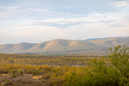 The Sierra Madre Oriental as seen from TAM 85 road, in the Mexican state of Tamaulipasの写真素材