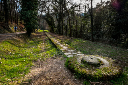 Italy, Tuscany, Lucca, Acquedotto Nottoliniの写真素材