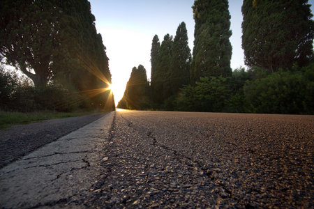 The famous cypress avenue, a street of 5 km that connects the Oratorio di San Guido to the old town of Bolgheriの写真素材