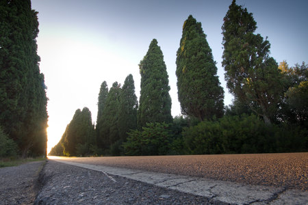 The famous cypress avenue, a street of 5 km that connects the Oratorio di San Guido to the old town of Bolgheriの写真素材