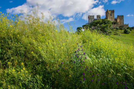 Castillo Almodovar, Cordoba, Spain external view of the castleのeditorial素材