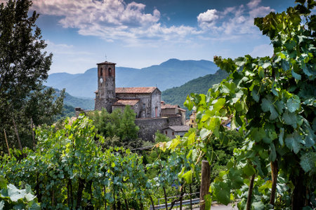 Garfagnana, Tuscany, Italy - ancient village of Ceserana view of the town with the medieval fortress