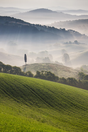 Guardistallo, Tuscany, Italy, view from the hill of Ricrio, landscape on the fogの写真素材