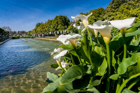 Cordoba or Cordova, is a city of Andalusia, southern Spain, Alcazar de los Reyes Cristianosのeditorial素材