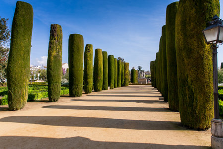 Cordoba or Cordova, is a city of Andalusia, southern Spain, Alcazar de los Reyes Cristianos, Gardensのeditorial素材