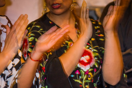 Granada, Spain - March 24, 2008 -Young woman dancing Flamenco during a Flamenco show in a typical Sacromonte cave, in Granada, Spainのeditorial素材