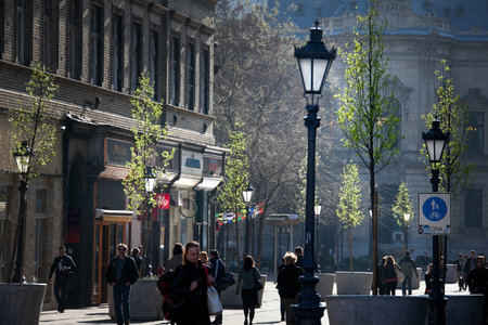 Budapest, capital of Hungary, SzabÃ³ Ervin Square with the building of the libraryのeditorial素材