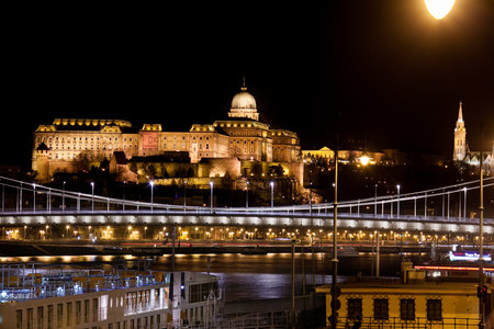 Budapest, capital of Hungary, Elizabeth Bridge with the Buda Castle at nightのeditorial素材