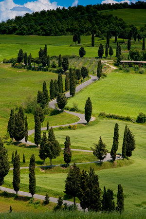 Val d'Orcia, Siena, mountain bike excursion in the Tuscan hills - winding avenue of Monticchiello seen from Podere La Pianaの写真素材