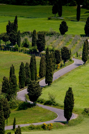Val d'Orcia, Siena, mountain bike excursion in the Tuscan hills - winding avenue of Monticchiello seen from Podere La Pianaの写真素材