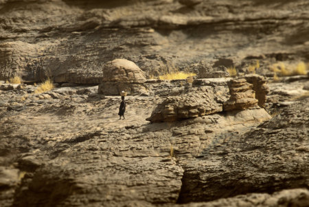 Tireli, Mali, Africa - January 30, 1992: Dogon village and typical mud buildingsの写真素材