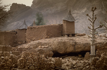 Tireli, Mali, Africa - January 30, 1992: Dogon village and typical mud buildings, buildings used as barns for the storage of cerealsのeditorial素材