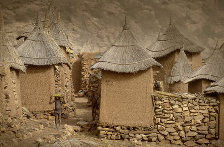 Tireli, Mali, Africa - January 30, 1992: Dogon village and typical mud buildings, buildings used as barns for the storage of cerealsの素材 [FY31069441681]