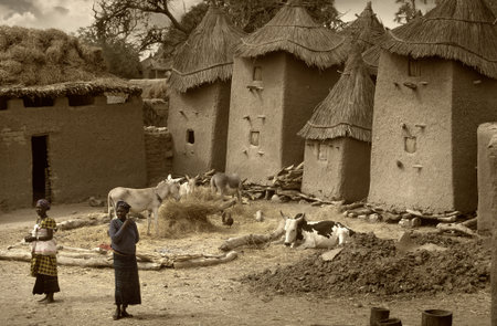 Ansongo, Mali, Africa - January 28, 1992: Dogon village and typical mud buildings with toguna and barns for cerealsのeditorial素材