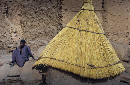 Gommo, Mali, Africa - January 26, 1992: Dogon village, typical mud buildings with animist temple and barns for cerealsのeditorial素材
