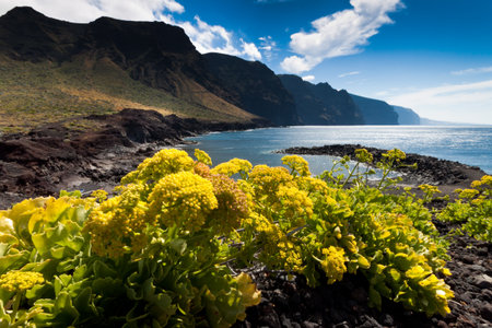 Tenerife, Espana - Punta Teno Rural Park with the lighthouse and the Atlantic oceanの写真素材