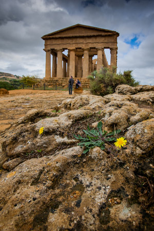 Temple of Concordia ancient Greek landmark in the Valley of the Temples outside Agrigento, Sicilyの写真素材