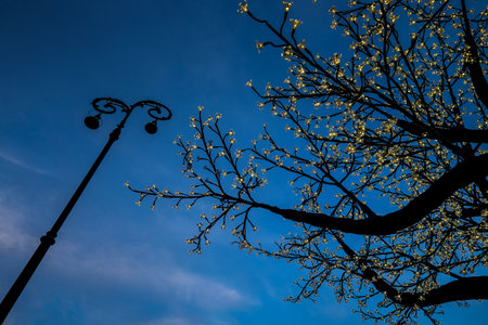 View of Arena historical building in Verona, one of the most popular cities of Veneto, Italyのeditorial素材