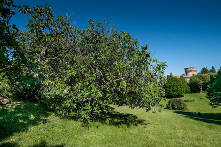 VOLTERRA, TUSCANY - MAY 21, 2017 - Medici fortress with the park in Volterra Tuscany Italyのeditorial素材