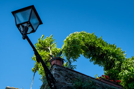 VOLTERRA, TUSCANY - MAY 21, 2017 - Along the Walls detail of a street lamp with ivyのeditorial素材