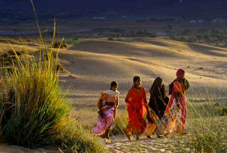 PUSHKAR, INDIA - NOVEMBER 17: Camels at the annual livestock fair on November 17, 1982 in Pushkar, Rajasthan, Indiaのeditorial素材