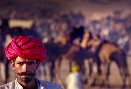 PUSHKAR, INDIA - NOVEMBER 17: Camels at the annual livestock fair on November 17, 1982 in Pushkar, Rajasthan, Indiaのeditorial素材