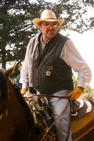 BOLGHERI, TUSCANY: SEPTEMBER 27, 2008 - A horse between forests and villages organized by the Province of Leghorn, the Tuscany Region and some of the Communes of the coast. Horse riding trails to the boundaries of the Province of Grosseto, in the photo Olのeditorial素材